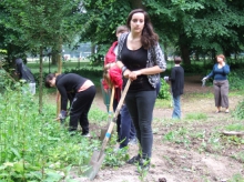 ZNA Middelheim is actief in het park